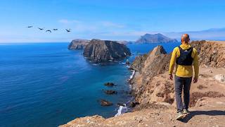 Hiking Anacapa Island Ridges | Channel Islands National Park, California | 4K HDR POV