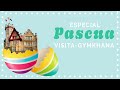 Visitas especiales Semana Santa Palacio de la Magdalena