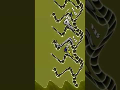 fire in da mah g major 62 be li-: