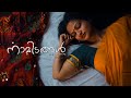 നാമിടങ്ങൾ Namidangal Visakh Collective Malayalam Music Album
