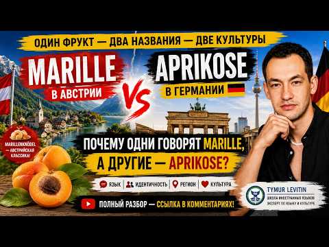 Marille vs Aprikose | Why Germans and Austrians Use Different Words (German Lesson for Russian Speakers) (A2–B2)