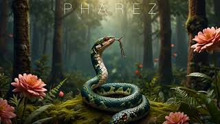 Pharez - Soundgasm remix