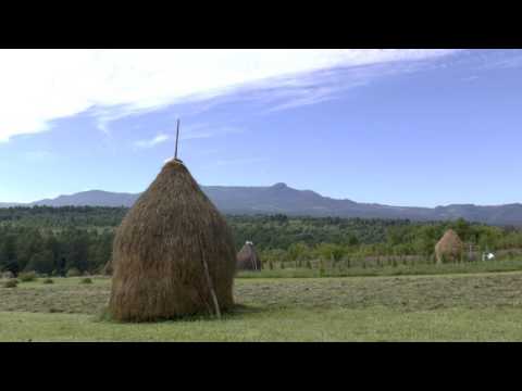 Gutin-hegység, Románia