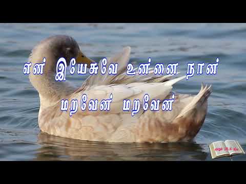 EN YASUVE UNNAI NAAN MARAVEN |#Tamil christian songs