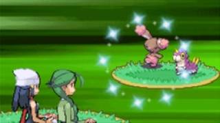 （ポケモン）ダブルバトル色違いバグ