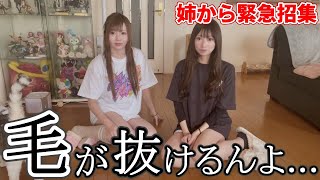 一人じゃ手に負えないので妹を家に呼び出しました