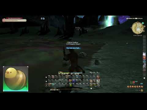 FFXIV No GP Big Fishing [257] Eehs Fan