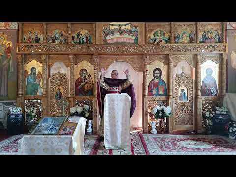 Fr. Nicolae Pavel - How do I recover from a failure?