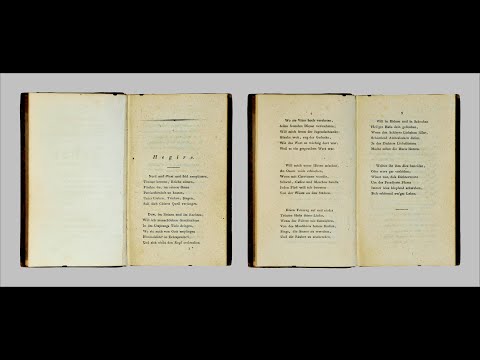 Der west-östliche Diwan - eine Einführung in das Verhältnis von Goethe und Hafis