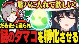 突如だるまいずごっどから謎のタマゴをもらい孵化させた結果にキレるのせさんwww【ぶいすぽっ！/一ノ瀬うるは/ポケモン剣盾】