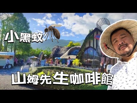 [開箱] 花蓮壽豐鄉 Mr. Sam山姆先生咖啡館，欣賞落羽松喝咖啡，拍照熱門景點