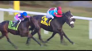 RACE-5 AQUEDUCT 🇺🇸 13 NOV 2025