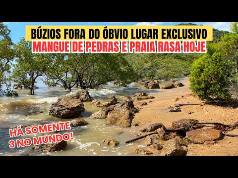 BÚZIOS FORA DO ÓBVIO CONHEÇA O MANGUE DE PEDRAS ROTEIRO DIFERENTE SOMENTE 3 NO MUNDO!