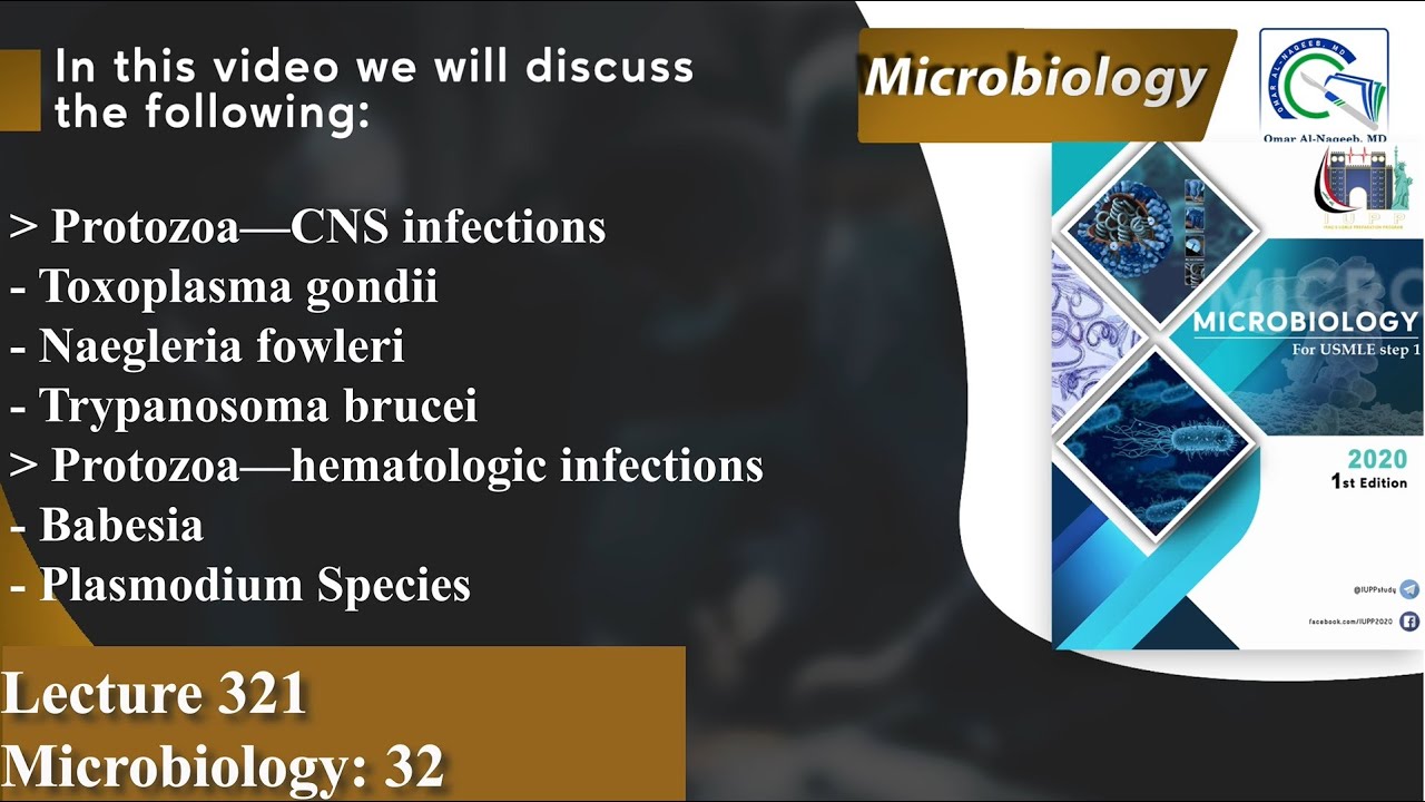 Toxoplasma gondii | Naegleria fowleri | Trypanosoma brucei | Babesia | Plasmodium Species | Malaria