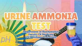 Urine Ammonia Test | Principle, Procedure & Interpretation"
