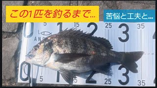 この1匹を釣るまでの記録…