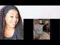 CATS WEIRDED OUT BY HUMANS Reaction