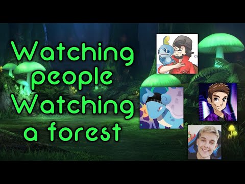 Watching People watching a Forest where maybe something will happen