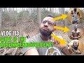 What is the BrownnZennMovement? Vlog 113