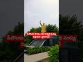 Ysr Peddaya Na Peddaya Na Song Emotional Ysrcp Ysjagan Rgv Vyuham Ysrcp Ysrcongress Media Shorts