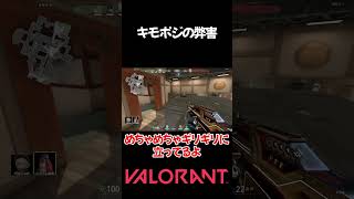 【valorant】キモポジの弊害 #shorts #valorant #おすすめ