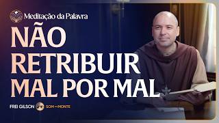 Não retribuir mal por mal | (Mateus 5, 38-42) #2742 | Meditação da Palavra