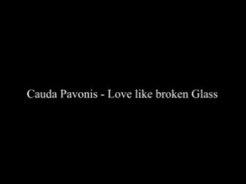 Cauda Povanis - Love Like Broken Glass