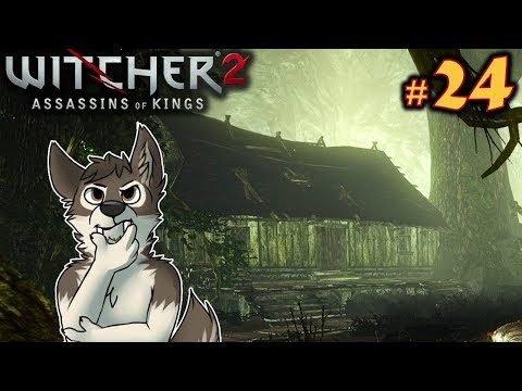 CABIN IN THE WOODS || THE WITCHER 2 Let's Play Part 24 (Blind) || THE WITCHER 2 Gameplay