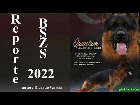 Quantum v. Schonen Rosen