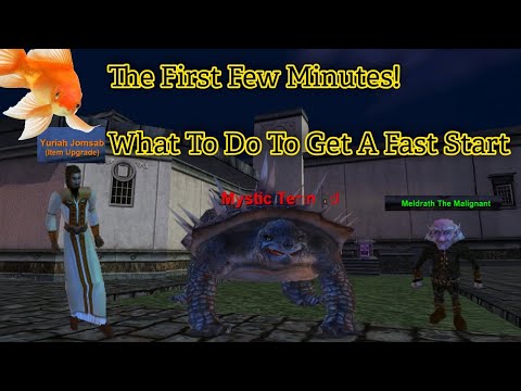 Perky Crew EverQuest Beginner Guide: First Steps in Plane of Knowledge from Level 1!