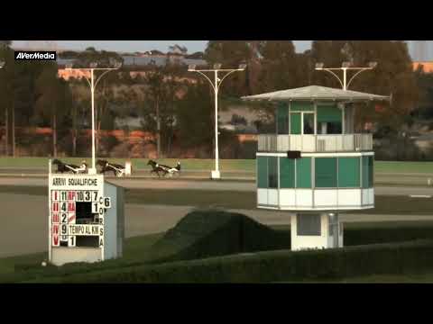 Corsa proprietari 2 - martedì 14 febbraio 2023