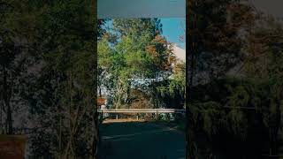 Download lagu Lirik lagu Bojo loro denny caknan didi kempot, Story WA🔥🔥🔥 mp3 Download lagu Lirik lagu Bojo loro denny caknan didi kempot, Story WA🔥🔥🔥 mp3