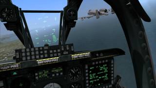 DCS: A-10C - Rob has a birdstrike.