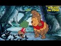 The New Adventures Of Winnie The Pooh S02E10 Pooh Moon