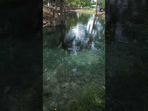 Fantastico valniario, en Rio Yaxtunila! Las Cruces, Peten!