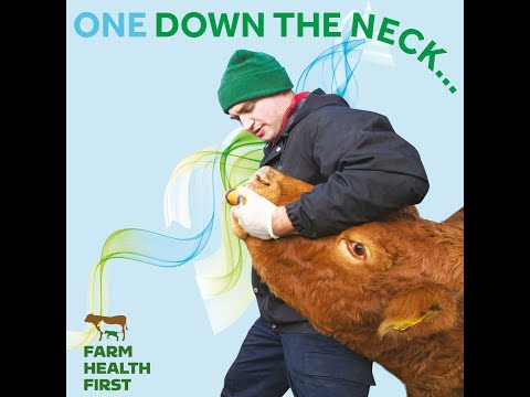 One Down the Neck - Oral Drenching Cattle