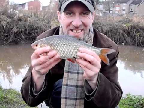 Small Stream Adventures - Urban Redfins - Jewels in the Grime