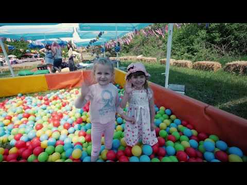 Marele Picnic Cu trupa Taxi