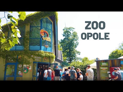 Opole z przewodnikiem - "Zoo Opole, Wyspa Bolko"