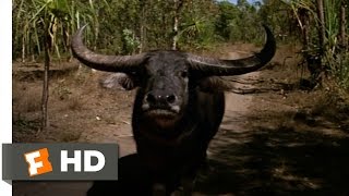 Crocodile Dundee (5/8) Movie CLIP - Mind Over Matter (1986) HD