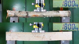 Tree vs 2x4 – Which One Is Actually Stronger?