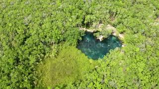 [AS FANMADE] Safed - Machinedrum