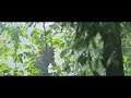 Malayalam Whatsapp Status Hridayasakhi