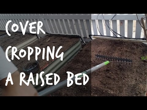 9 Beginner Raised Bed Garden Mistakes to Avoid