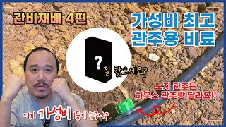 가성비 최고 관주비료 공개합니다 가격은 낮추고 성분은 실속있게 | 관비재배 4편 | 농사 100단