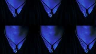 Cold Noise - antherdaywsted