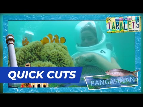 Helmet diving in Pangasinan! TARALETS Episode 21 Quick Cuts Viva TV