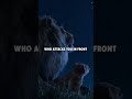DON T FEAR YOUR ENEMY Lion Attitude WhatsApp Status Motivation WhatsApp Status