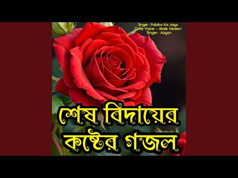 Palaiba Koi Jaiya - Cute Voice - Male Version