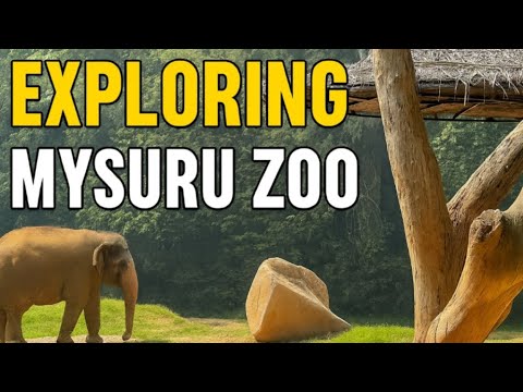 Mysuru Zoo Is On Another Level! 😱 Full Tour | #mysuruzoo #mysorezoo #asianelephant #elephantsofindia